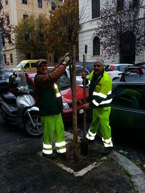 PER FARE UN ALBERO
