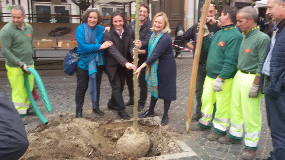 PER FARE UN ALBERO