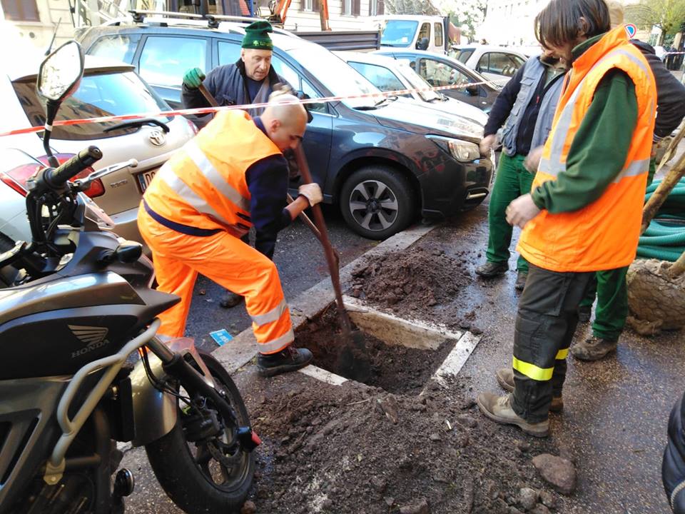 L’IMPEGNO DEL PRIMO MUNICIPIO PER LA CURA DEL VERDE
