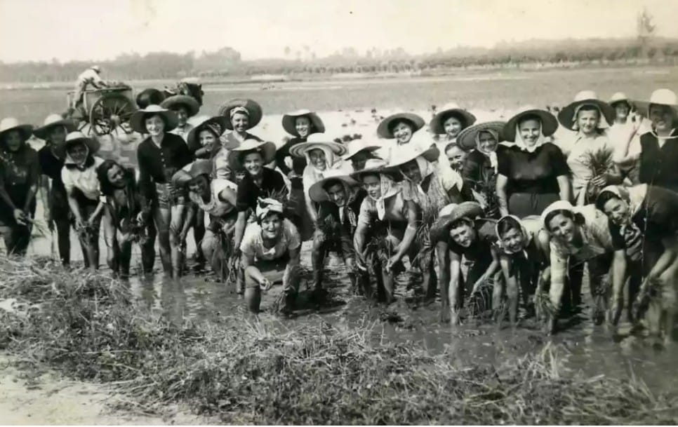 PRIMO MAGGIO