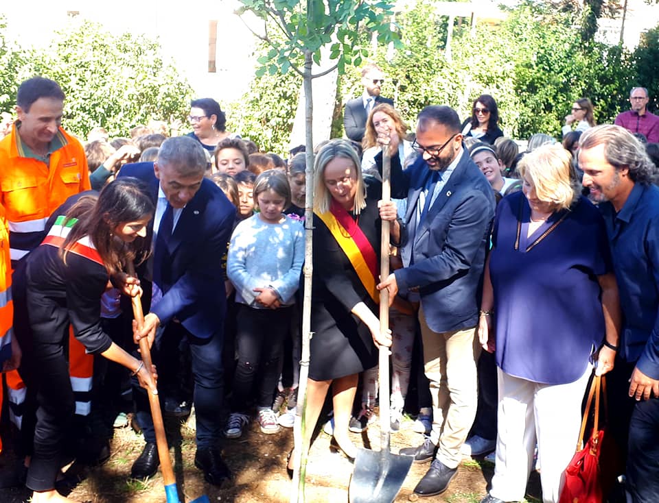 FESTA DELL’ALBERO NELLE SCUOLE