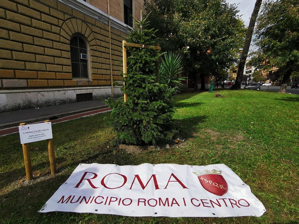 DIGNITA’, GIUSTIZIA, DIRITTI. UN ALBERO E UNA TARGA PER RICORDARE STEFANO CUCCHI