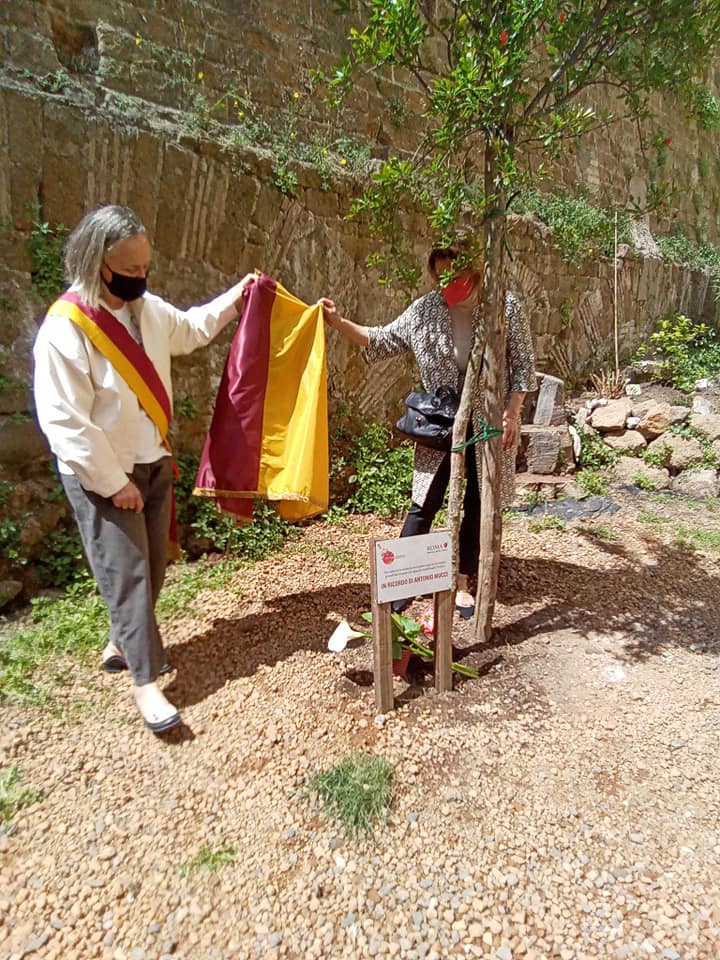 UN NUOVO ALBERO PER ANTONIO MUCCI