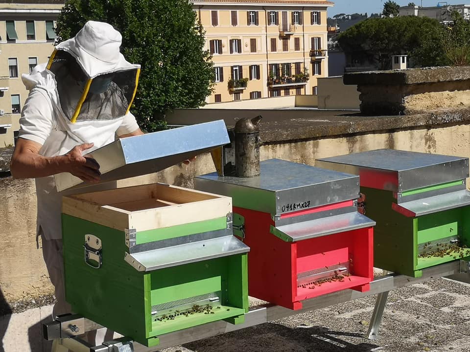 LE API ALLA SCUOLA PISTELLI