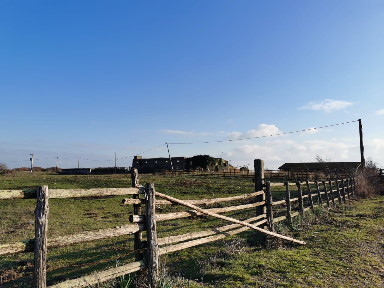 RILANCIARE LE TENUTE AGRICOLE DI CASTEL DI GUIDO E TENUTA DEL CAVALIERE