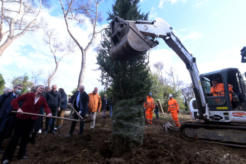 RIFORESTAZIONE URBANA A MONTE ANTENNE