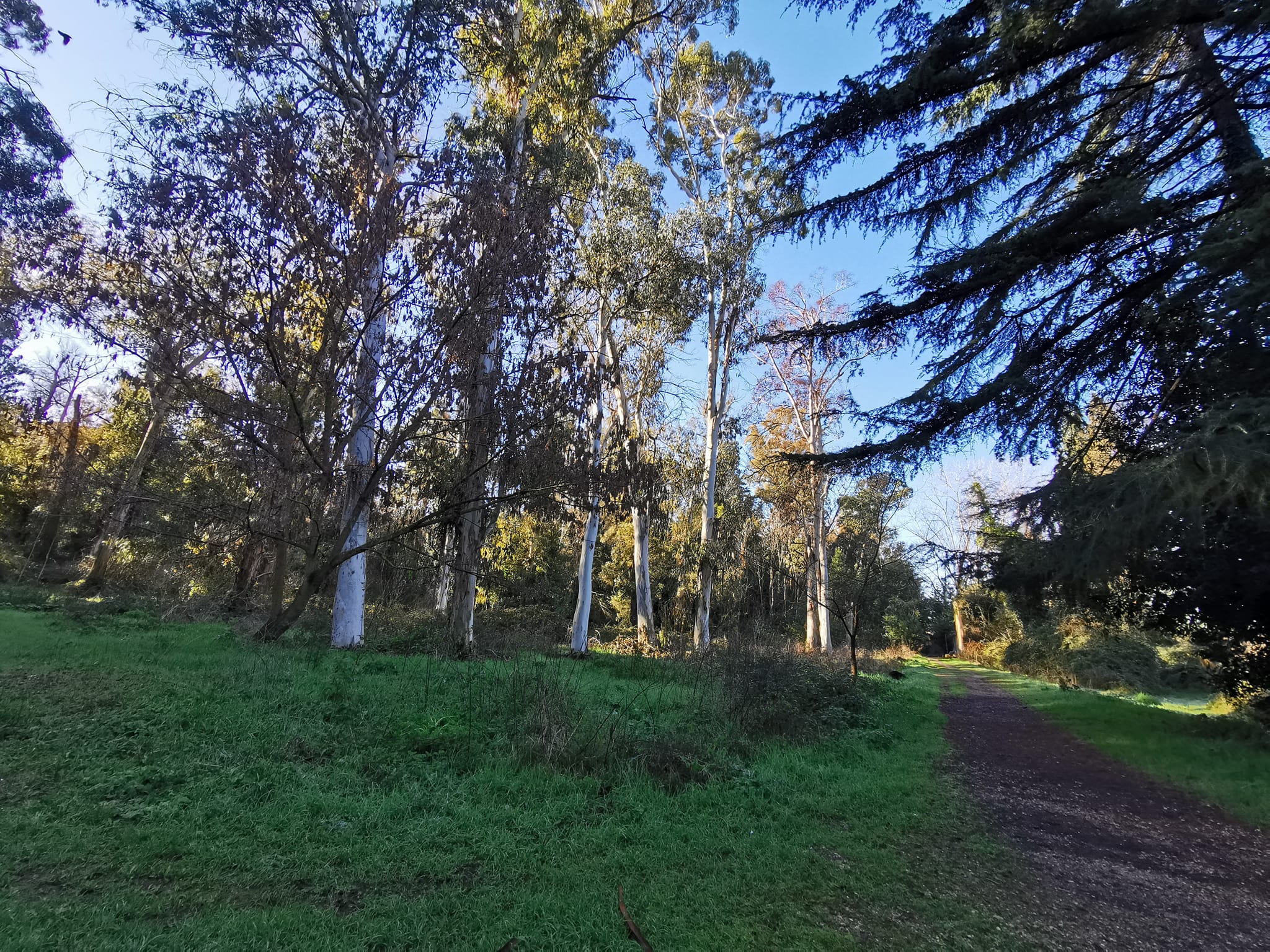 IL PARCO DELLA CELLULOSA A CASALOTTI