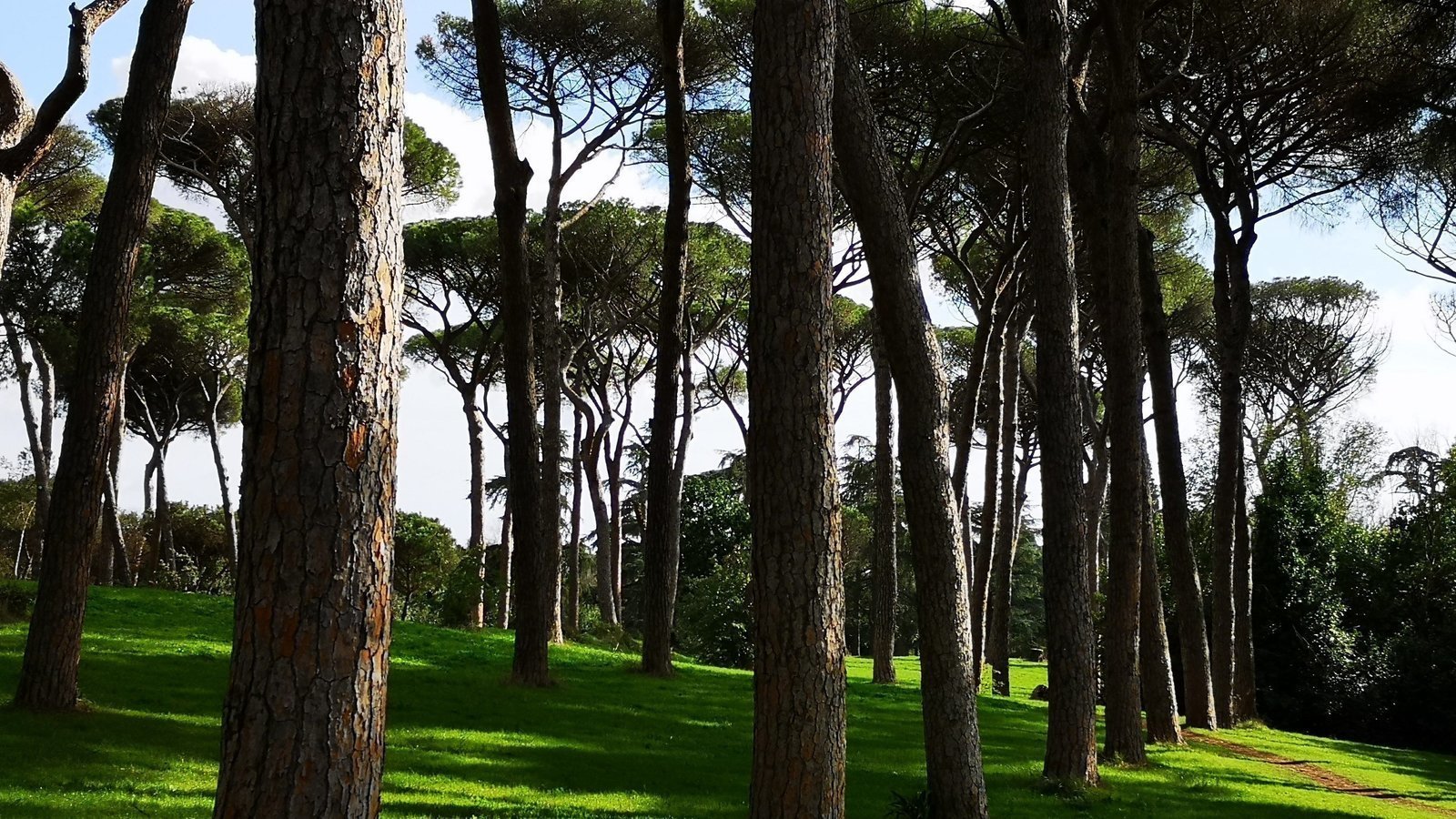 VILLA ADA, UNO DEI NOSTRI POLMONI VERDI