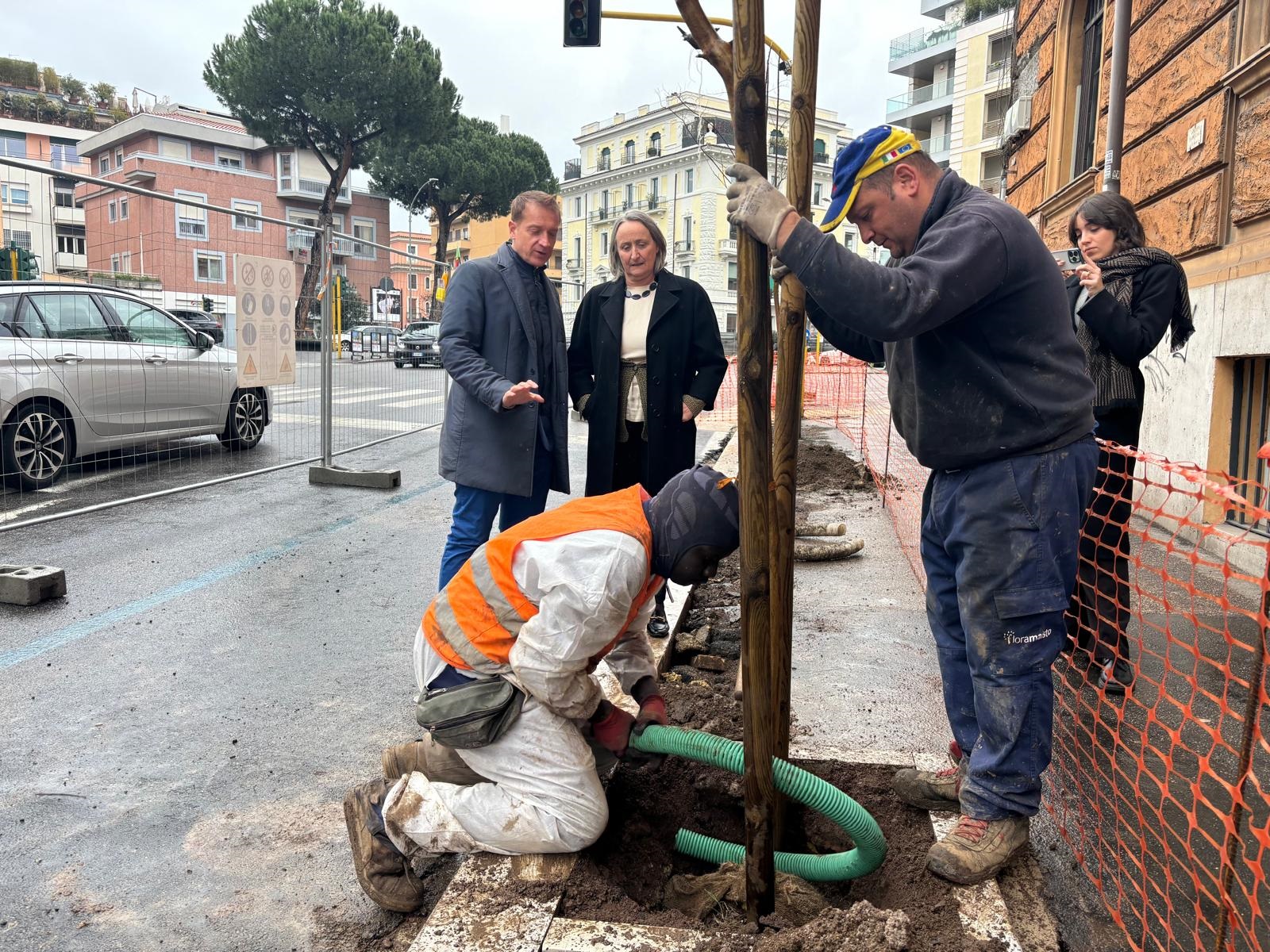 MESSA A DIMORA DI NUOVE ALBERATURE SU VIA TARANTO E STRADE LIMITROFE