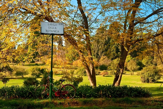 RINNOVO DELLE ALBERATURE A VILLA PAMPHILIJ