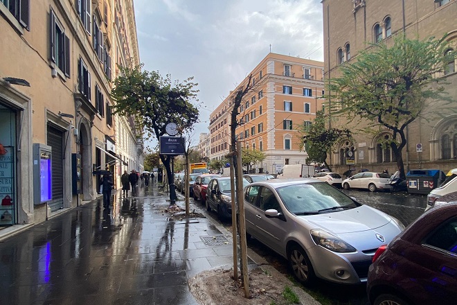 TERMINATA LA RIQUALIFICAZIONE ARBOREA DI VIA COLA DI RIENZO E AVVIO DEI LAVORI A VIALE GIULIO CESARE
