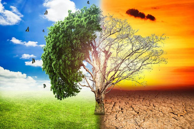 CLIMA: APPROVAZIONE IN GIUNTA PASSAGGIO IMPORTANTE PER ADOZIONE STRATEGIA  ADATTAMENTO