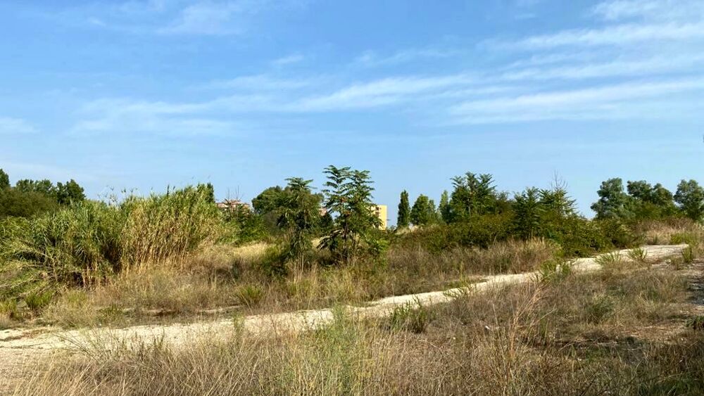 ROMA CAPITALE AL LAVORO PER REALIZZAZIONE PARCO DELLA SERENISSIMA