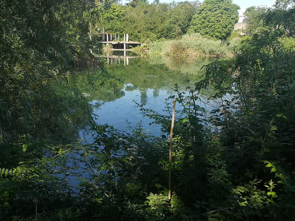 RIMOZIONE DI RIFIUTI DALL’AREA EX SNIA DI VIA DELL’ACQUA BULLICANTE