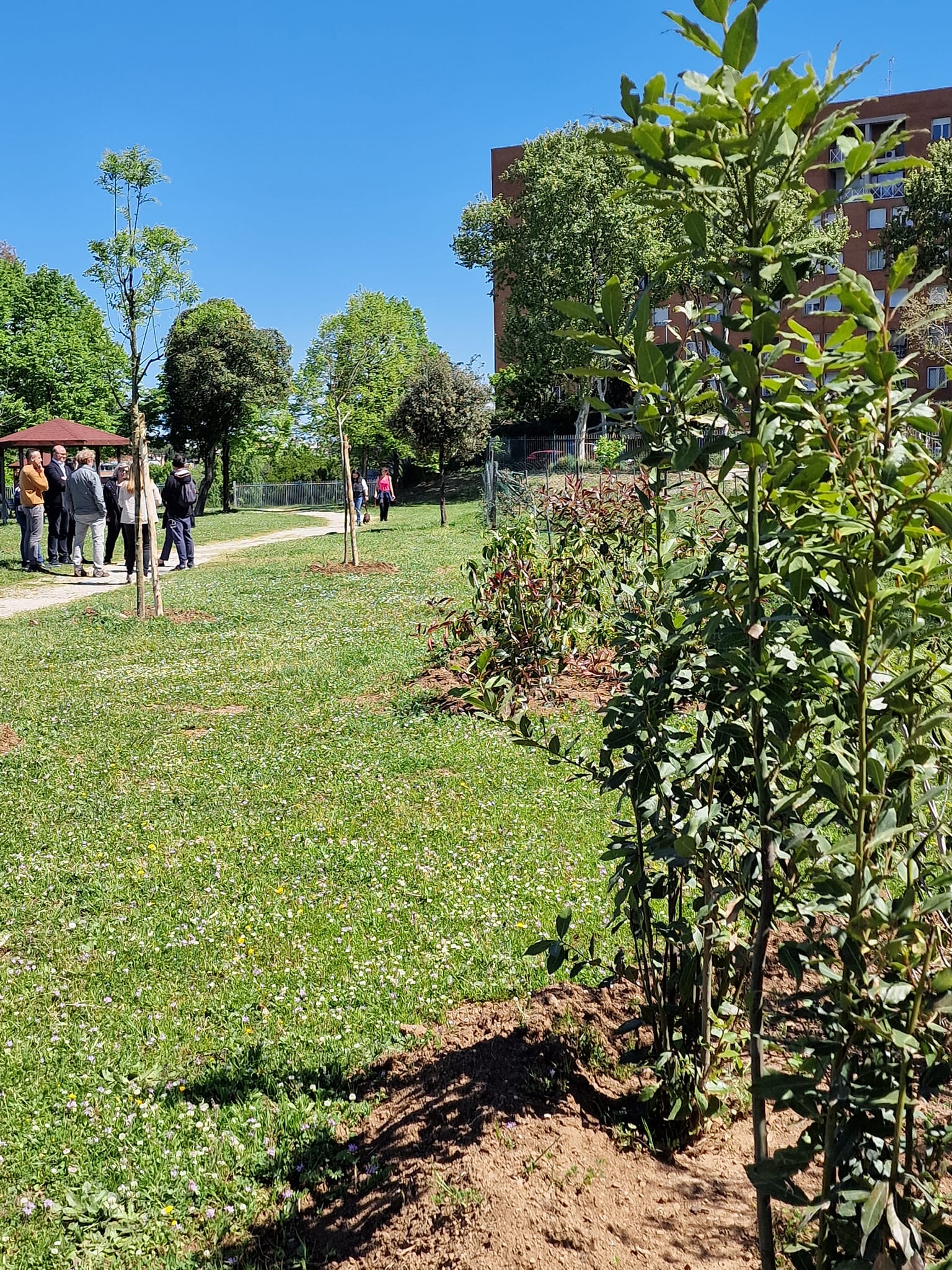 MICROFORESTAZIONE URBANA DIFFUSA