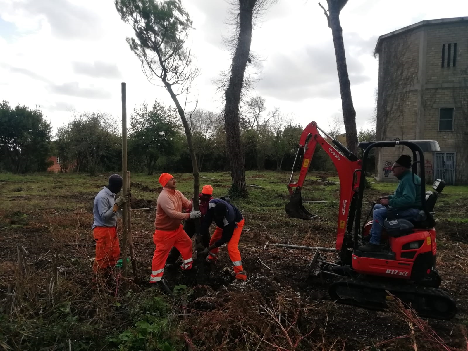 A DIMORA 1000 NUOVI ALBERI A MONTE ANTENNE
