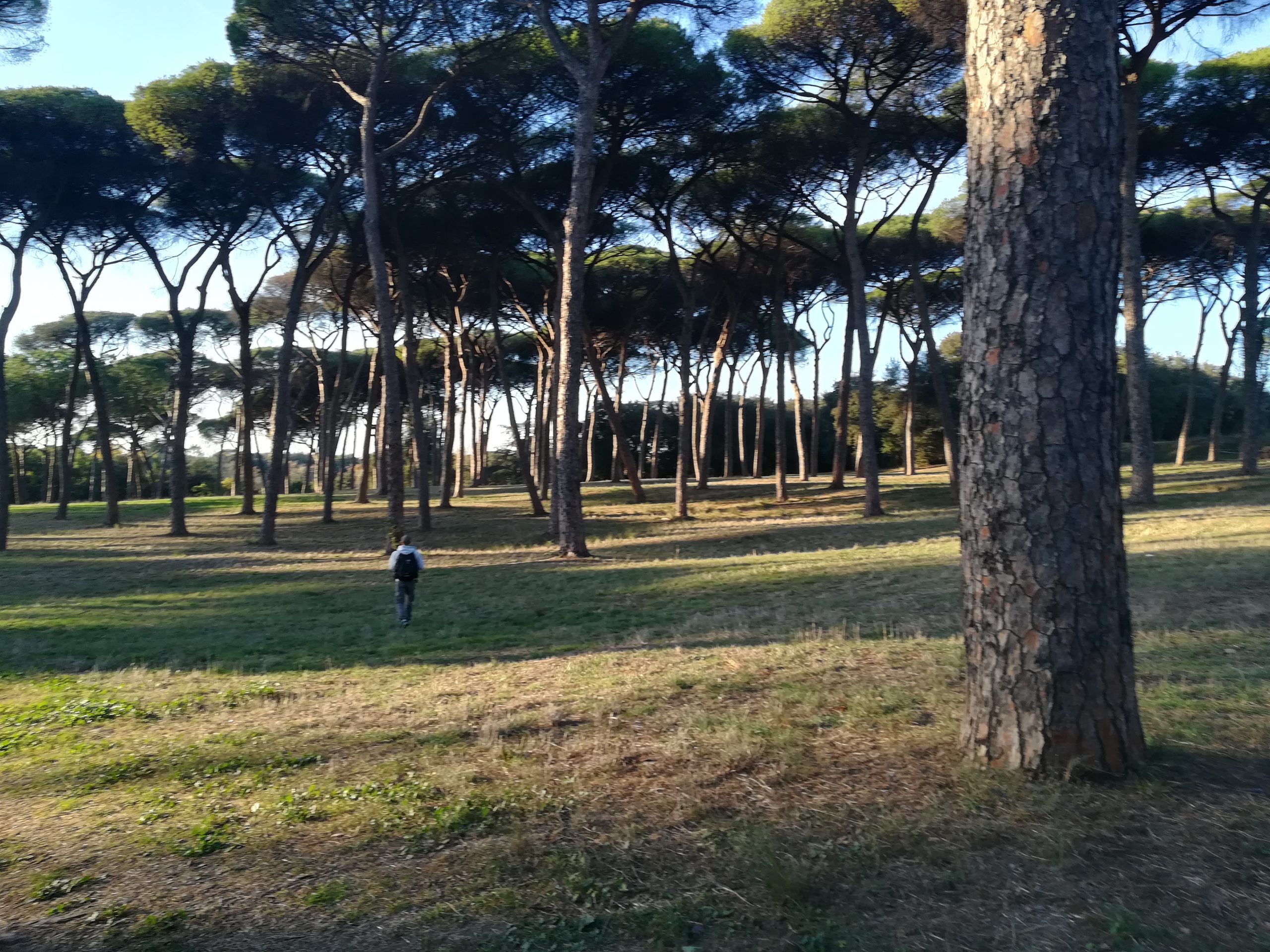 GIUBILEO 2025, LA GIUNTA APPROVA GLI INTERVENTI PER LA RIQUALIFICAZIONE DI VILLA PAMPHILIJ
