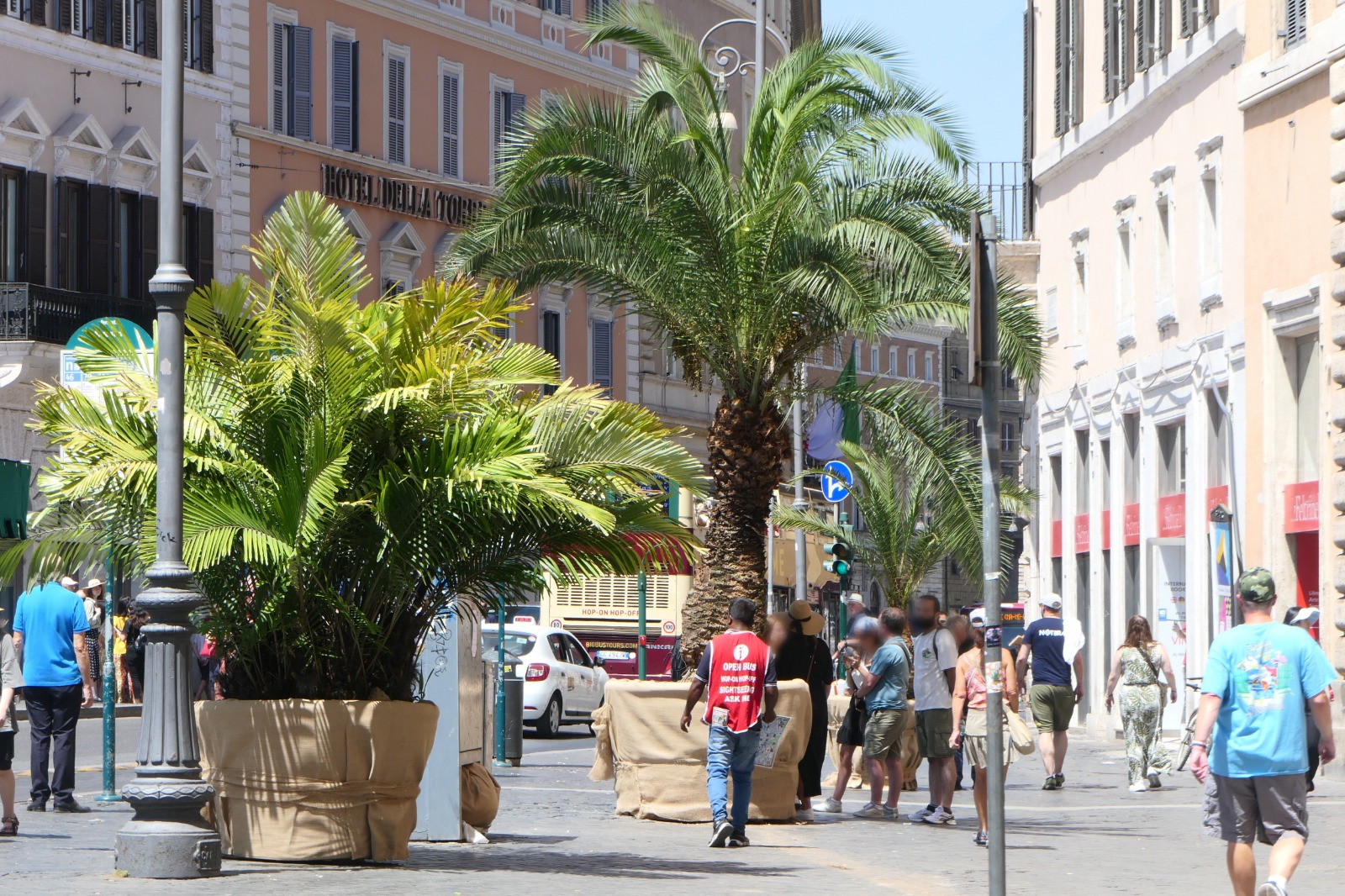 “PARTE IL PIANO VERDE DI EMERGENZA: ALBERI IN VASO IN PIAZZE E FERMATE DEI TRASPORTI PUBBLICI PER MITIGARE LE TEMPERATURE NELLE ISOLE DI CALORE”