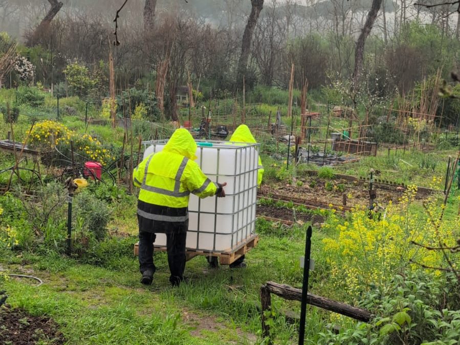 ORTI URBANI, ALFONSI – PALMIERI: AL VIA LA DISTRIBUZIONE DI STRUTTURE E MATERIALE DA LAVORO.