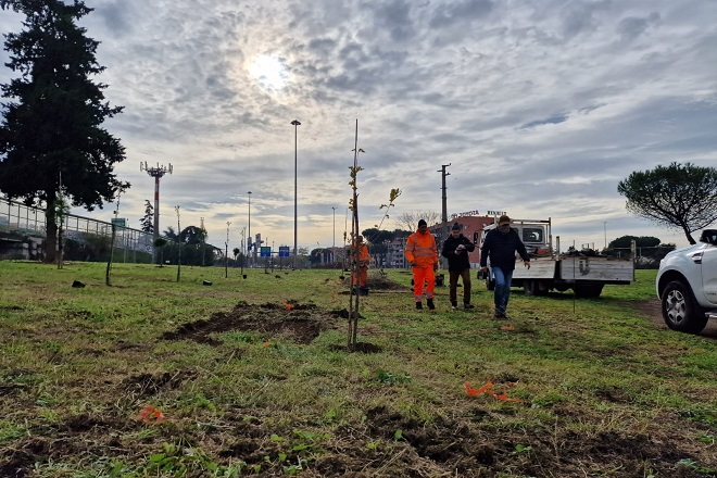 FORESTAZIONE URBANA, ALFONSI-PALMIERI-ANGELUCCI: AL VIA INTERVENTO DECRETO CLIMA NEL PARCO DELLE CANAPIGLIE
