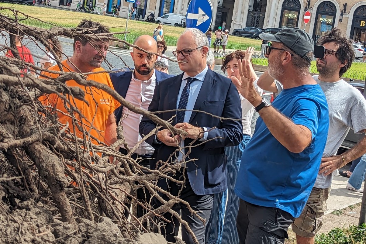 PINO PIAZZA VENEZIA, ALFONSI: AL VIA VERIFICHE SU TUTTE LE ALBERATURE DEL QUADRANTE