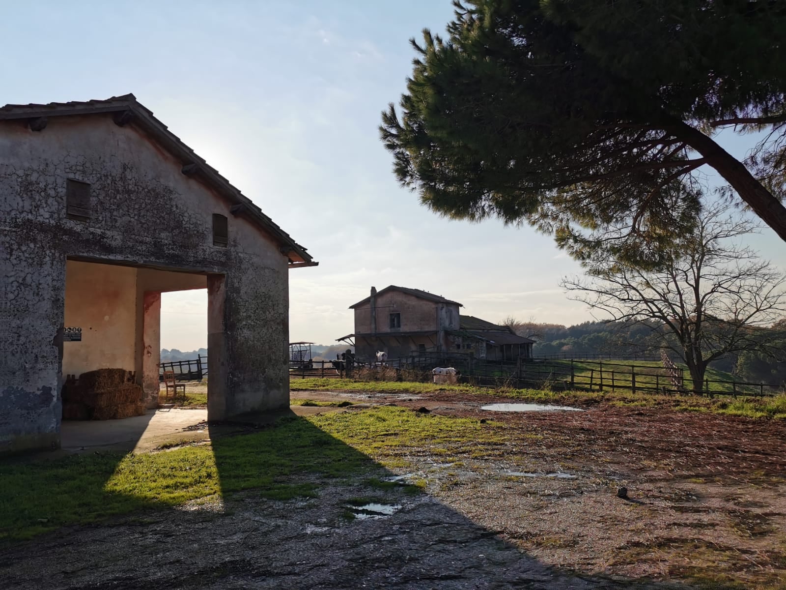 CONFERENZA AGRICOLTURA, ALFONSI: PRESENTATO PROGETTO DI RILANCIO AZIENDA AGRICOLA CASTEL DI GUIDO  L’AMMINISTRAZIONE E’ PRONTA, ASPETTIAMO DECISIONI DELLA REGIONE