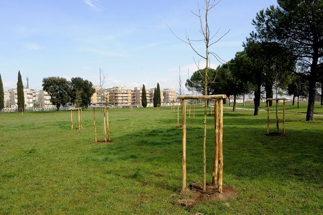PARCO CENTOCELLE, ALFONSI: AL VIA CANTIERE FORESTAZIONE  CON MESSA A DIMORA DI 570 ALBERI E 425 ARBUSTI PREVISTO ASSORBIMENTO ANNUO DI 47 TONNELLATE DI CO2