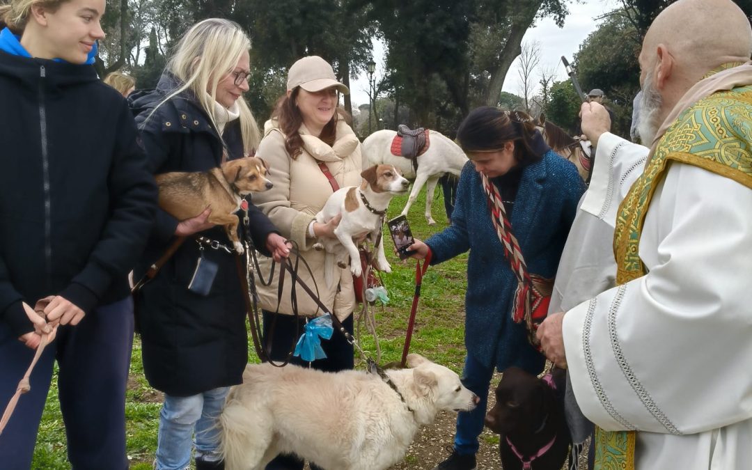 LA BENEDIZIONE DEGLI ANIMALI
