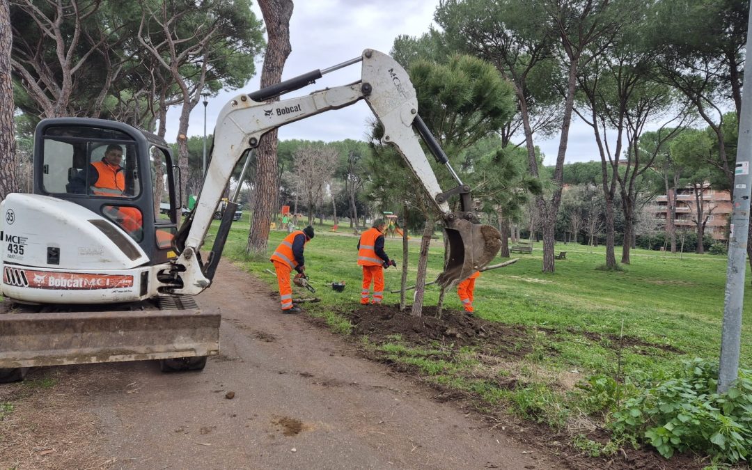 RIQUALIFICAZIONE ARBOREA PARCO PETROSELLI