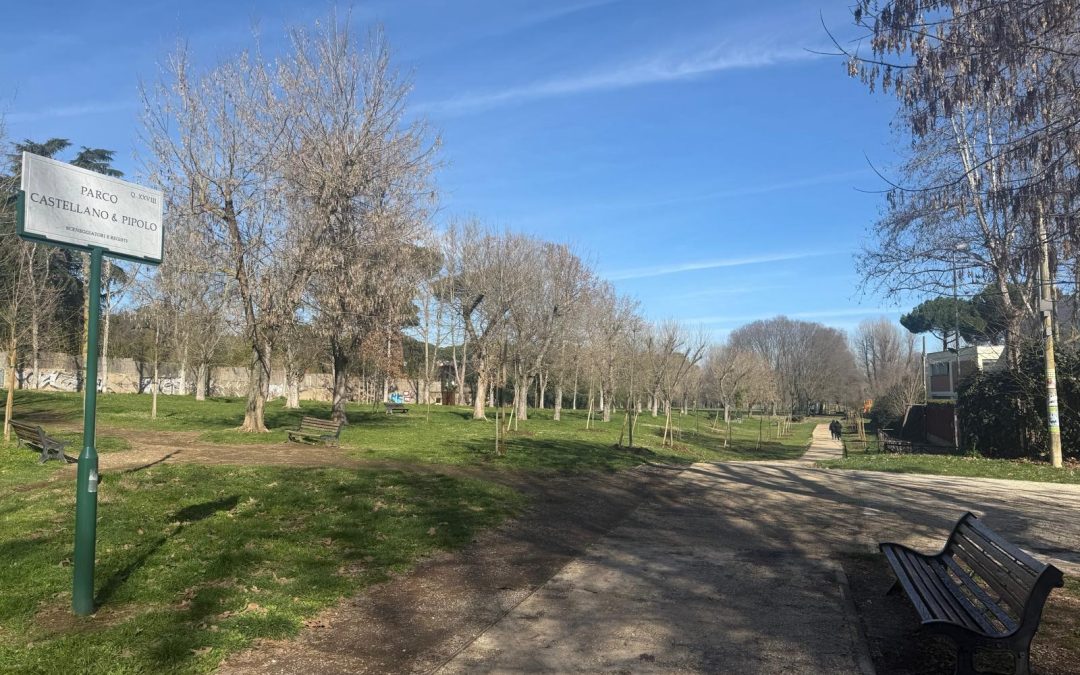 MICROFORESTAZIONE URBANA CON FOREST FOR ROME