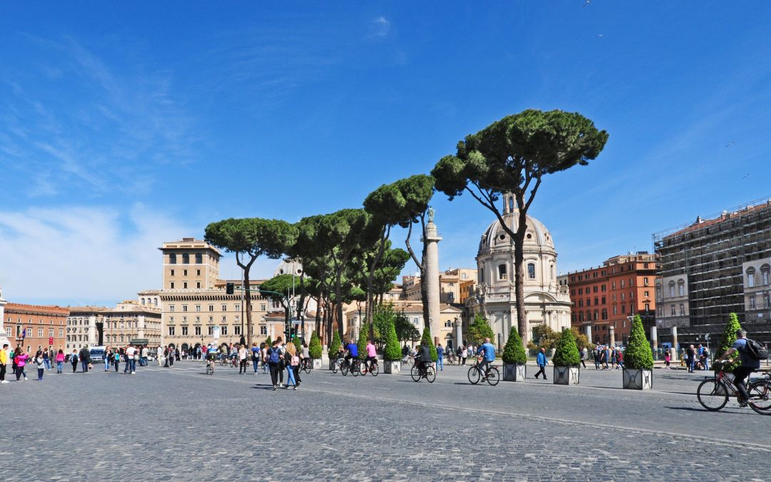 I PINI DEI FORI IMPERIALI