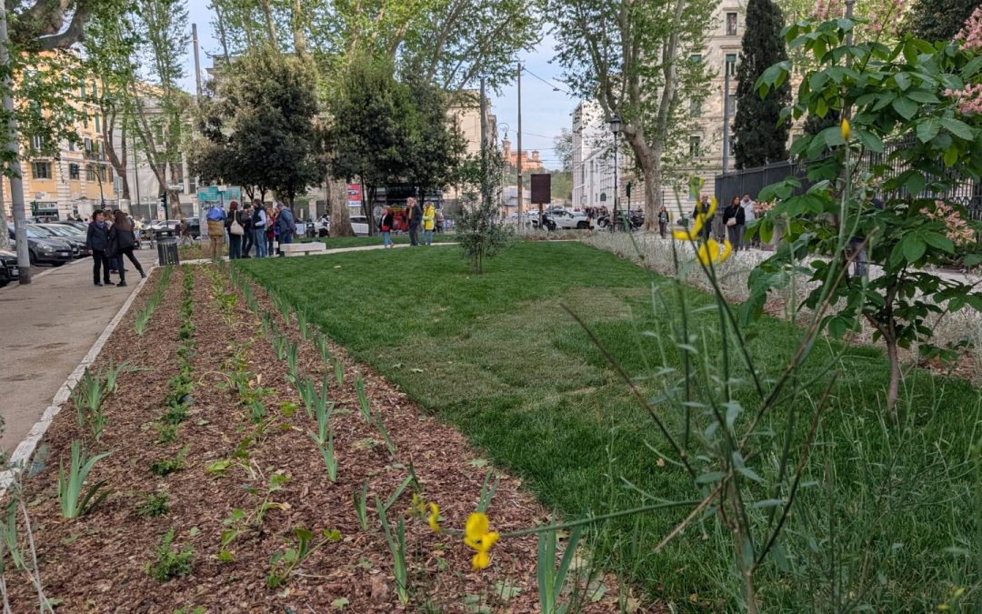 UNA NUOVA AIUOLA A TRASTEVERE