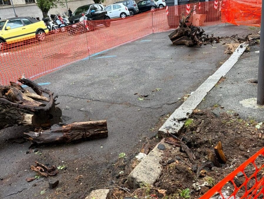 MENO ASFALTO E NUOVI ALBERI A VIALE CARSO
