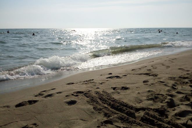 PULITI GLI ACCESSI ALLA SPIAGGIA DI CASTELPORZIANO