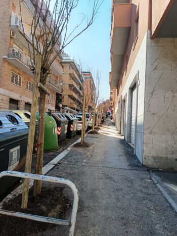 501 NUOVI ALBERI PER IL MUNICIPIO XI