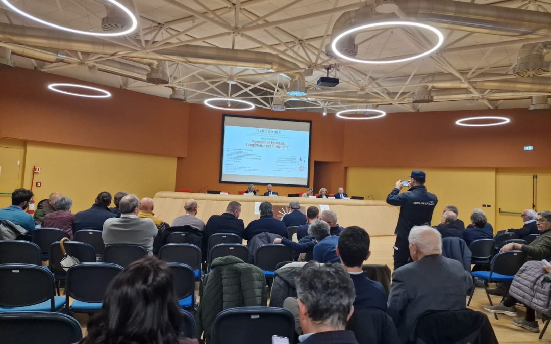 COMPETENZA PER IL TERRITORIO