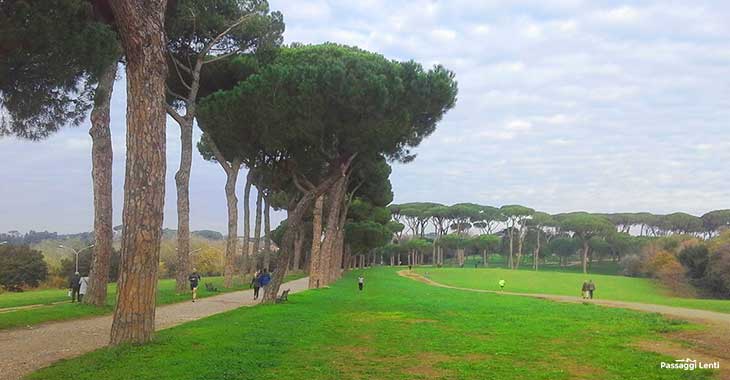 PRIMAVERA A VILLA DORIA PAMPHILI