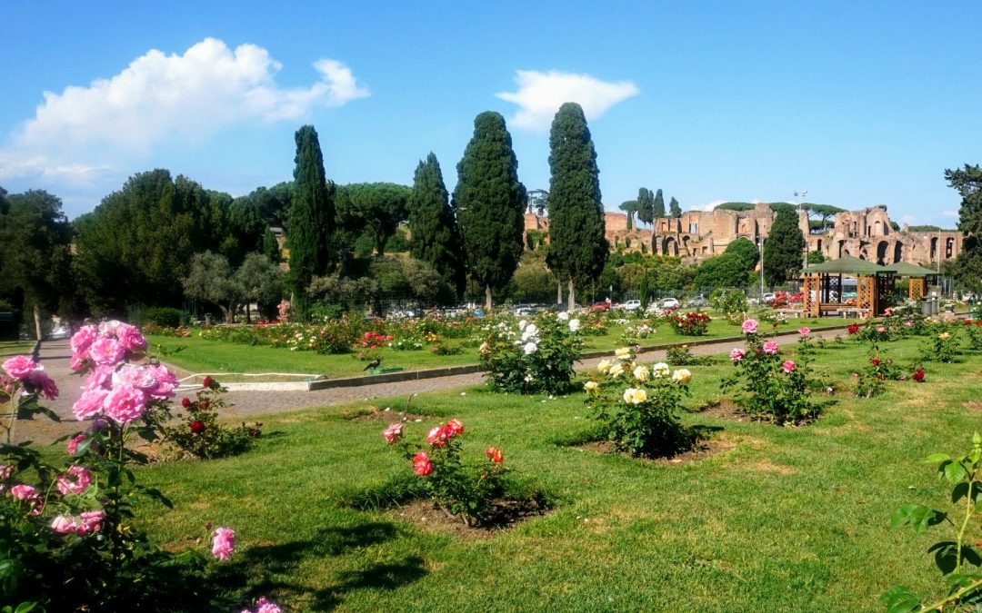 RIAPRE IL ROSETO COMUNALE